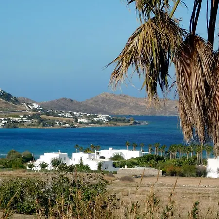 Arokaria Dreams